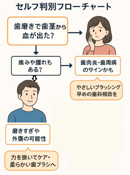歯茎から出血した時のセルフ判別フローチャート