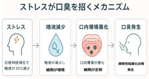 ストレス口臭のメカニズム図解