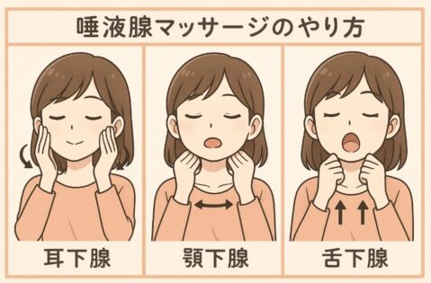 唾液腺マッサージのやり方図解
