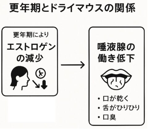 更年期とドライマウスの関係の図解