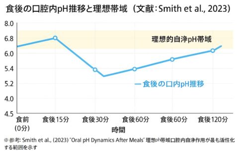 食後の口内Ｐh推移グラフ