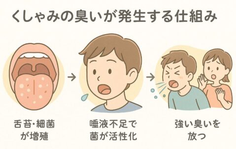 くしゃみの臭い発生のプロセス図