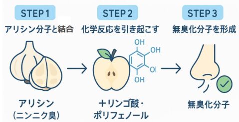 りんごジュースがアリシンを無臭にする図解
