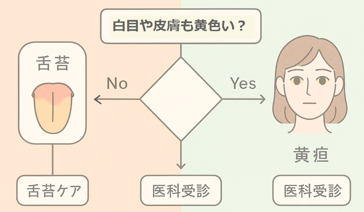 舌が黄色い場合と黄疸の違いを示すフローチャート