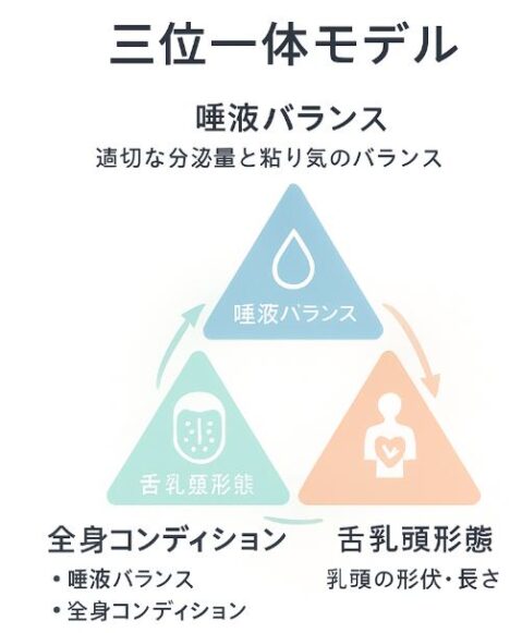 舌苔が「すぐ戻る」仕組みの図解