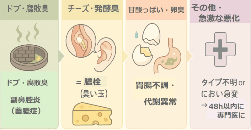 くしゃみのにおいを4タイプに分類し、原因と受診の目安をイラストで示すチャート。
