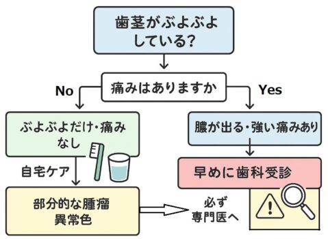 歯茎のぶよぶよ・腫れをセルフチェックできるフローチャート図。症状ごとに「自宅ケア」「早めの受診」「専門医」の判断ポイントを色分けしたアニメ風イラスト。