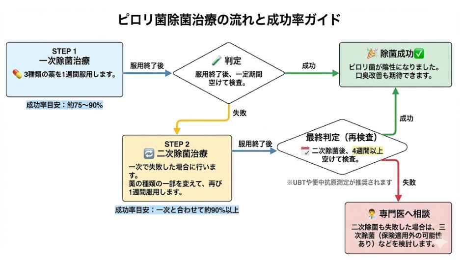 ピロリ菌の一次除菌から二次除菌、最終判定までのプロセスを示したフローチャート。一次除菌の成功率は約75〜90%、失敗した場合は薬を変えて二次除菌へ進む流れや、除菌後4週間以上の再検査が必要な点を図解。