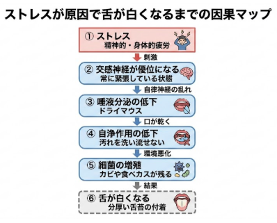 舌が白い ストレス 原因 因果関係図