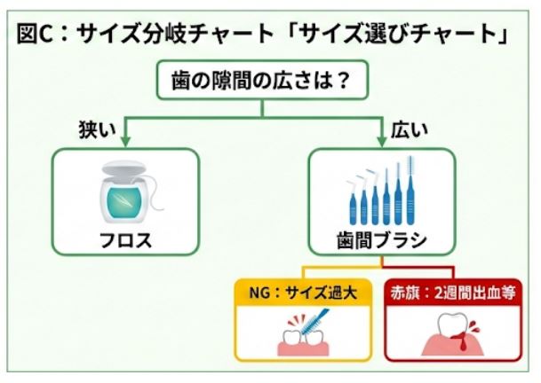 フロス/歯間ブラシサイズ選びチャートの図