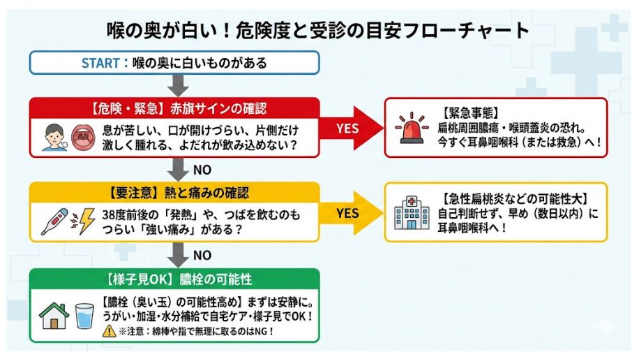 喉の奥が白い場合に「息苦しさや強い腫れ」「発熱と痛みの有無」などの症状から、緊急受診・早期受診・自宅での様子見のどれに該当するかを判断できる診断フローチャート。