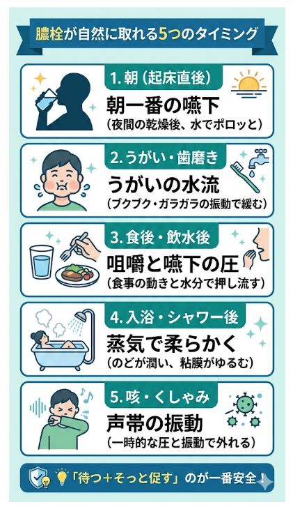 膿栓が自然に取れる5つのタイミング（起床後・食後・入浴後・うがい・咳など）