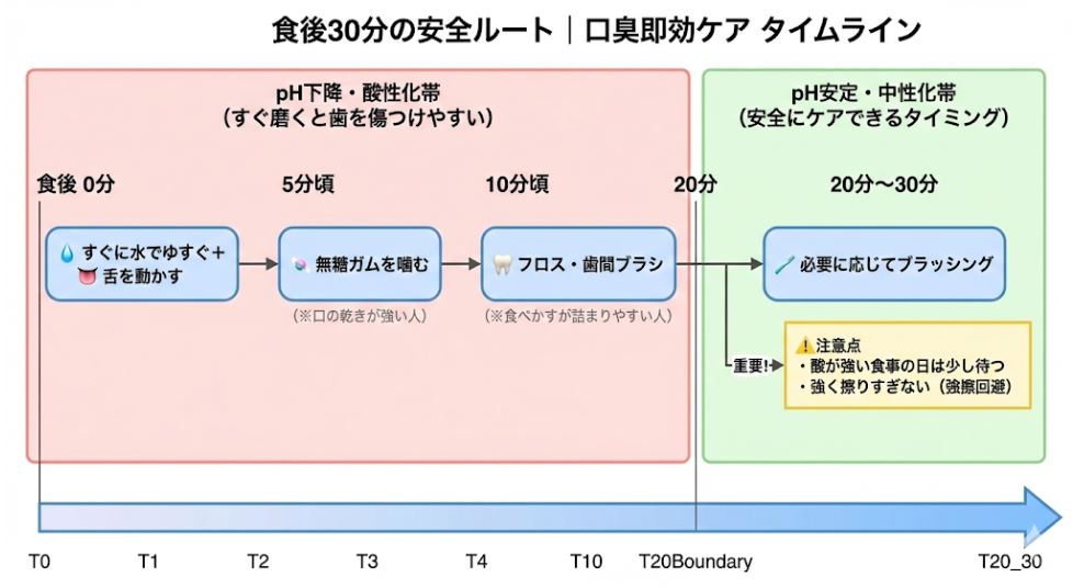 食後0分から30分までの時間経過に沿った口臭ケアの図解。0〜20分の「pH下降・酸性化帯」では水すすぎ、ガム、フロスによるケアを、20分以降の「pH安定・中性化帯」でブラッシングを推奨する安全な即効ルートを解説しています。
