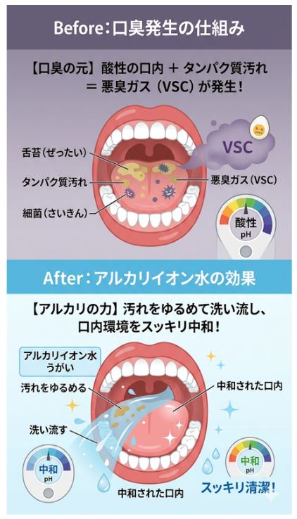 アルカリイオン水が口臭の原因となるタンパク質汚れをゆるめて中和するメカニズム