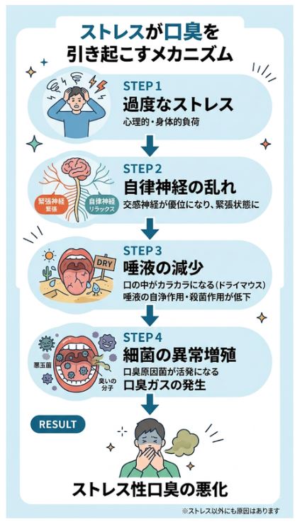 ストレスで自律神経が乱れ、唾液が減少し口臭が悪化するメカニズム